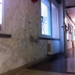 ED POMEZIA IST ART UMIDITA' MURO